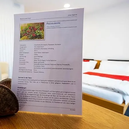 Ochsen Rapperswil/be Hotel Munchenbuchsee