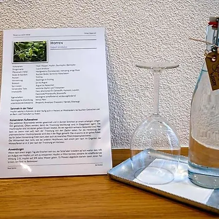 Ochsen Rapperswil/be Hotel *